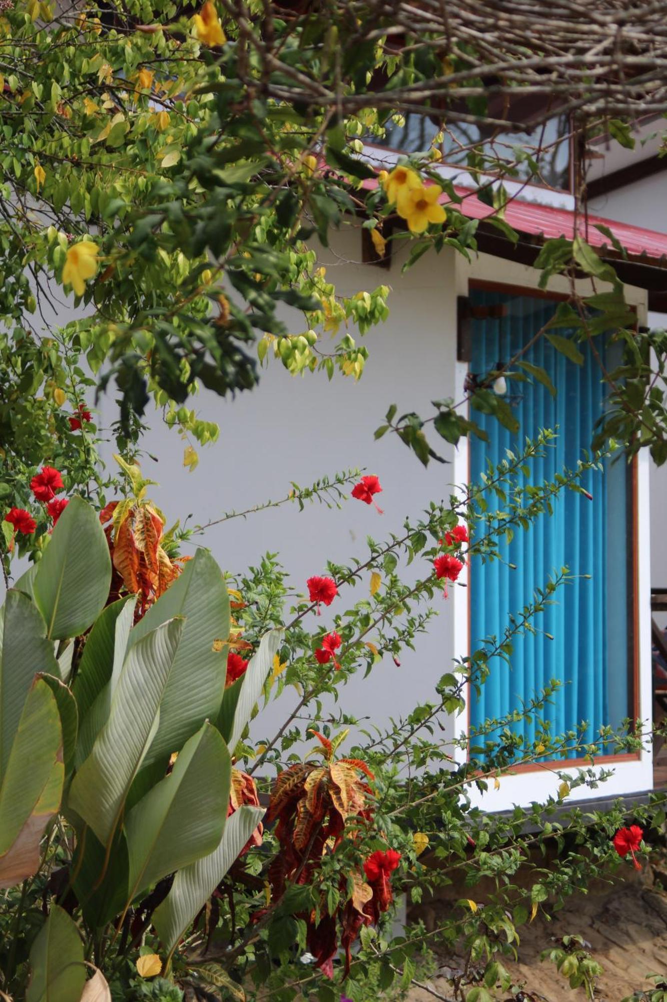 Hacienda Don Vicente Bungalows-Tarapoto Buitenkant foto